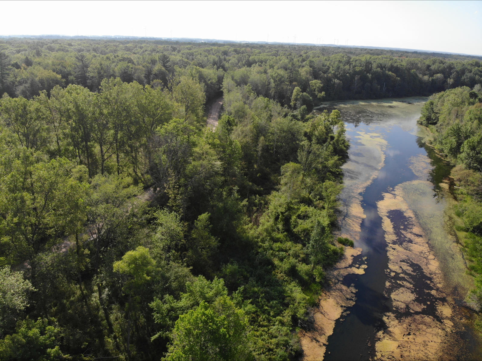 V/l West Vernon Road Weidman, MI 48893 - Photo 8 of 64 DJI_0592