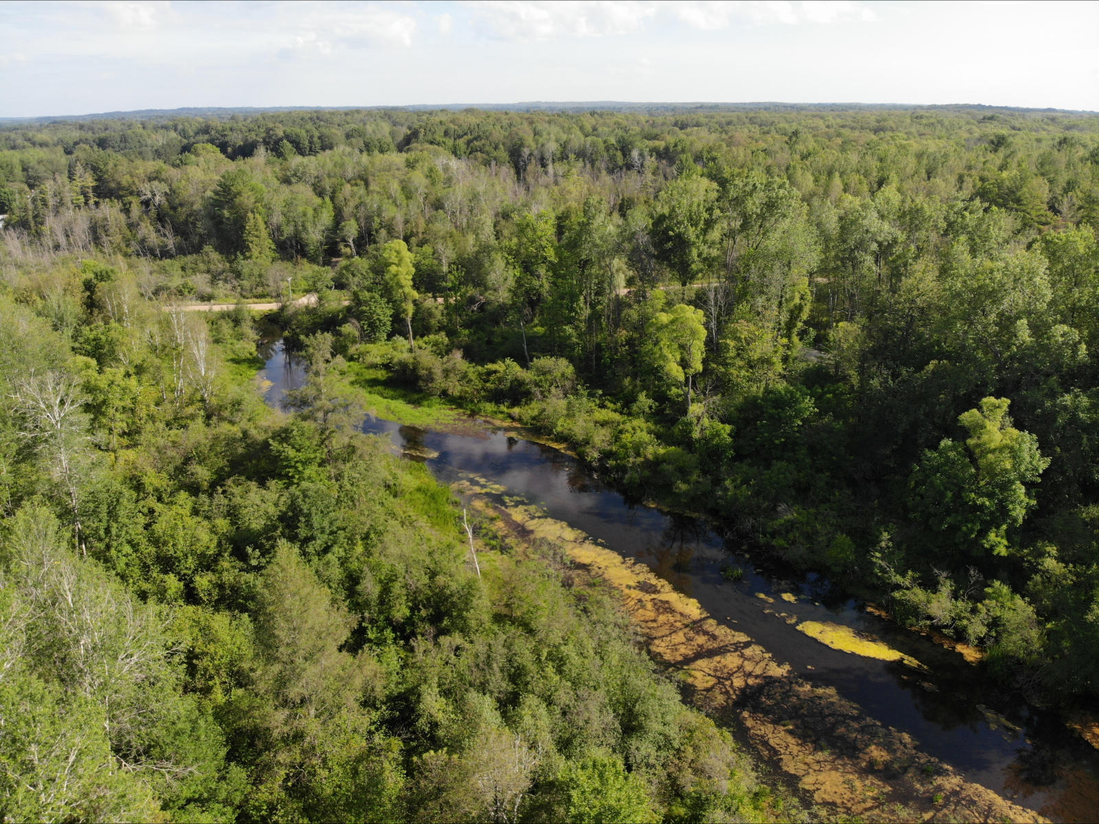 V/l West Vernon Road Weidman, MI 48893 - Photo 9 of 64 DJI_0596