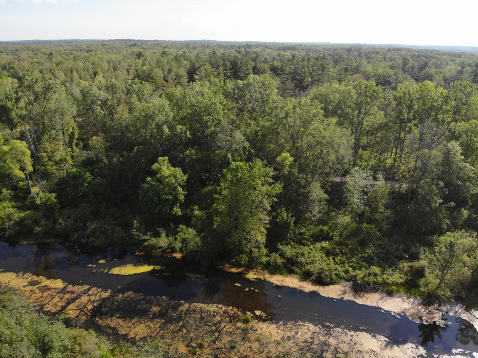 V/l West Vernon Road Weidman, MI 48893 - Photo 10 of 64 DJI_0597