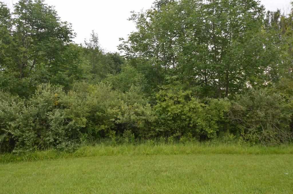 Liberty Mills Road Fort Wayne, IN 46814 - Photo 1 of 9
