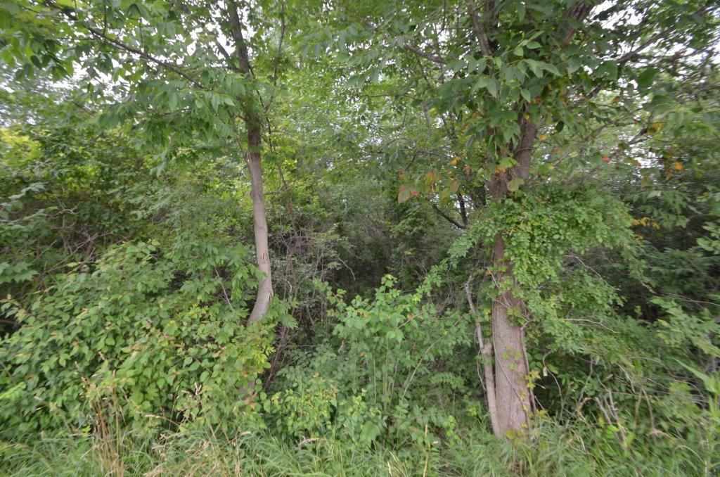 Liberty Mills Road Fort Wayne, IN 46814 - Photo 4 of 9