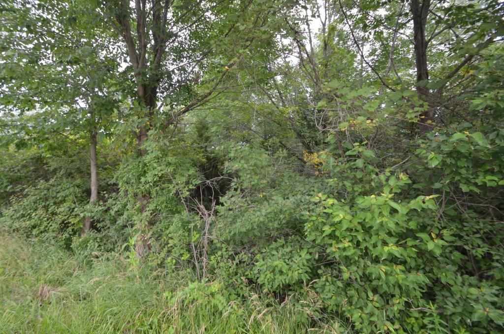 Liberty Mills Road Fort Wayne, IN 46814 - Photo 5 of 9