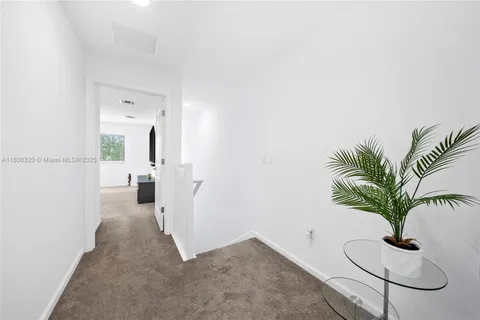 an entryway with a potted plant on th table