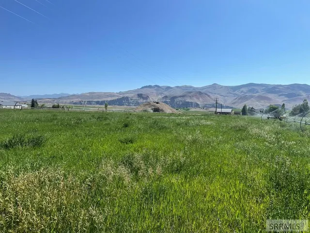 $673,500 | 3100 Challis Creek Road, Challis, ID 83226
