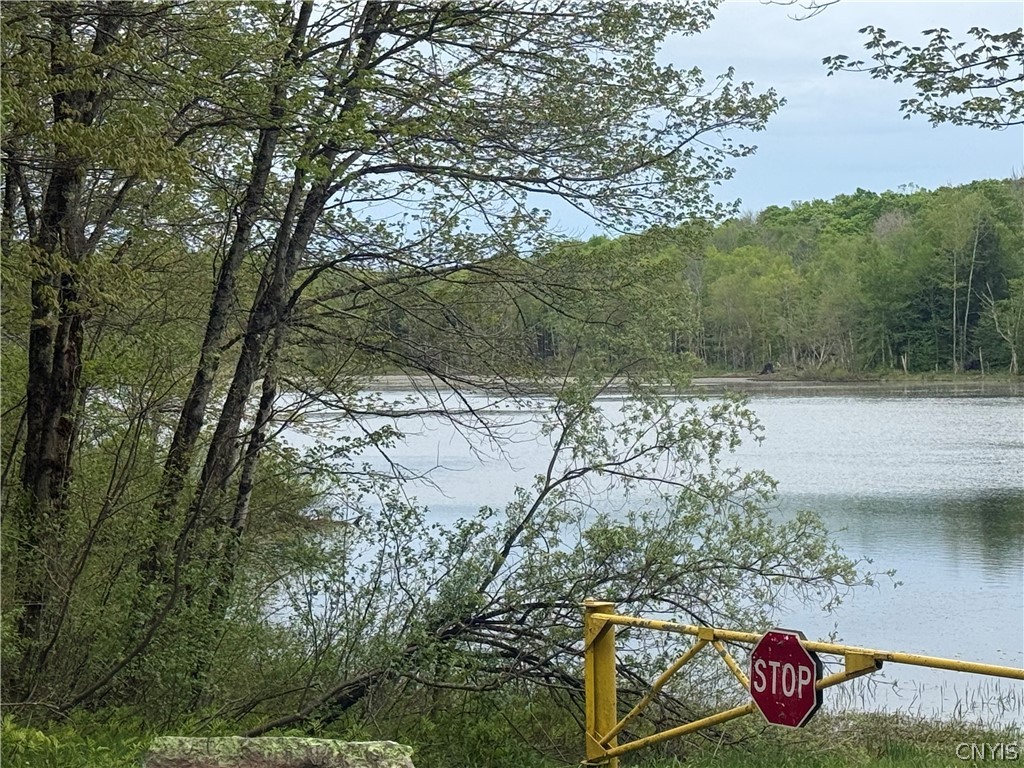 Lot #9 Lost Ridge Road, Unit 9 Camden, NY 13316 - Photo 20 of 27