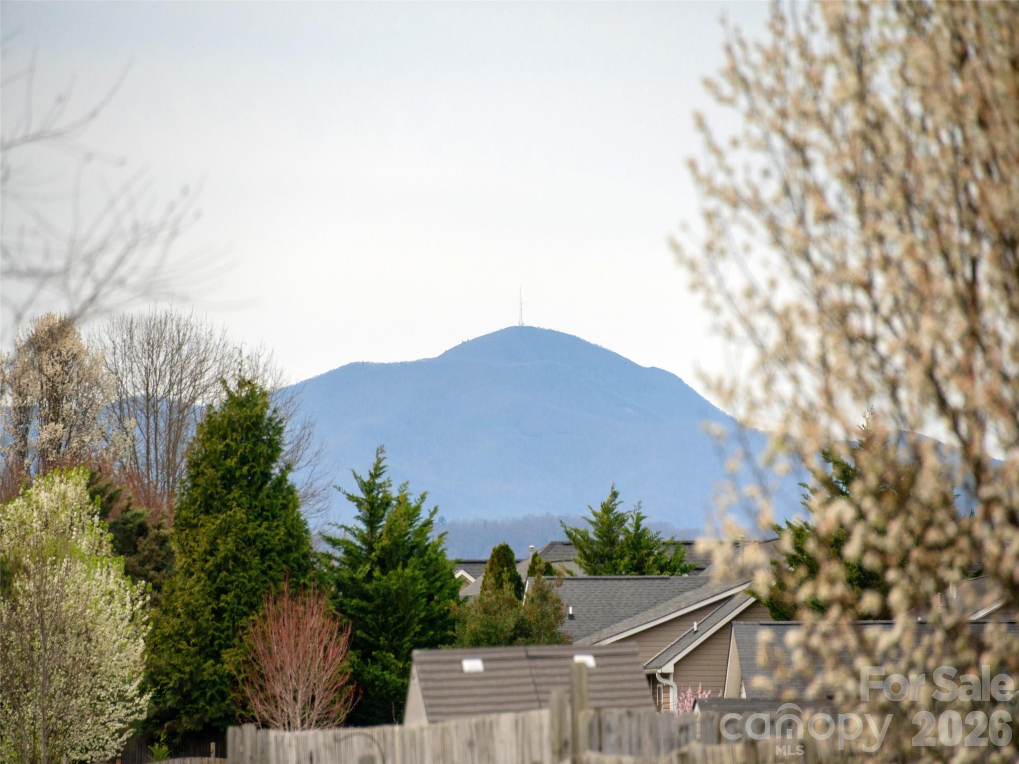 83 East Swift Creek Road Fletcher, NC 28732 - Photo 26 of 28