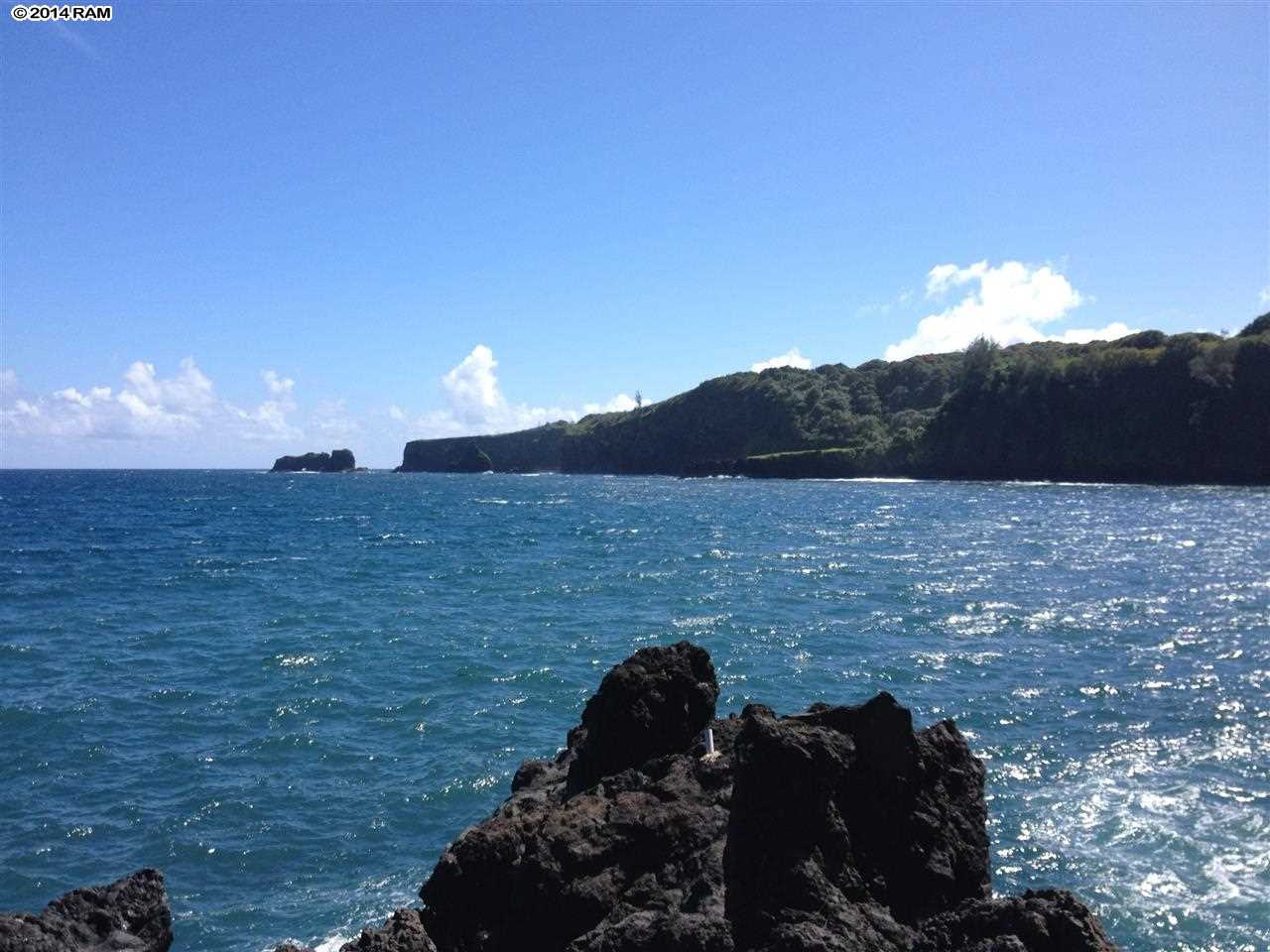 459 Keanae Road Hana, HI 96713 - Photo 1 of 11 a view of a dry yard with a large tree