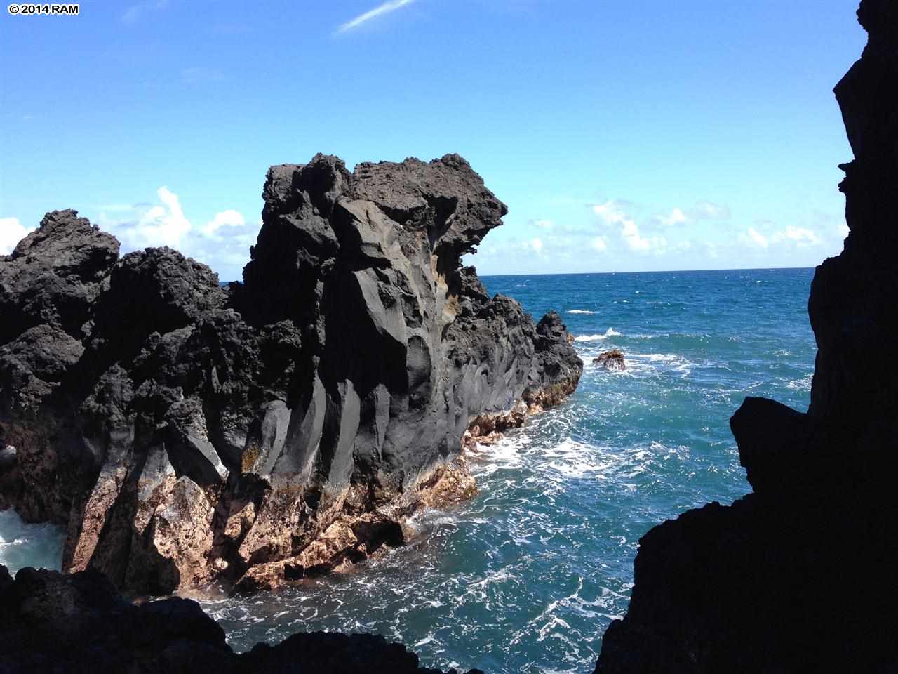 459 Keanae Road Hana, HI 96713 - Photo 4 of 11 a view of a tree in a yard