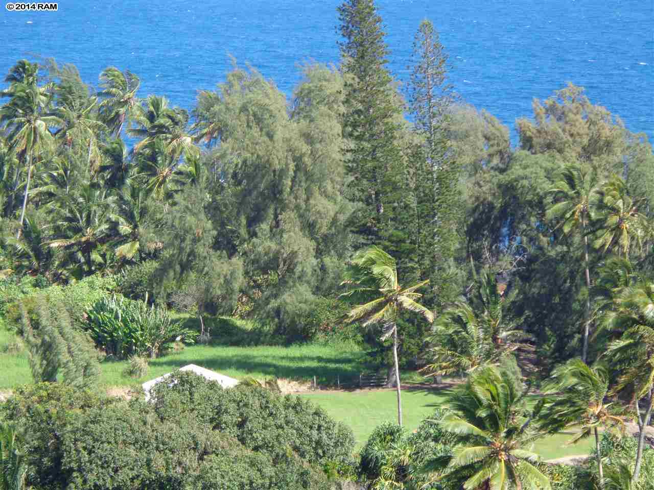 459 Keanae Road Hana, HI 96713 - Photo 5 of 11 a view of a garden with a house
