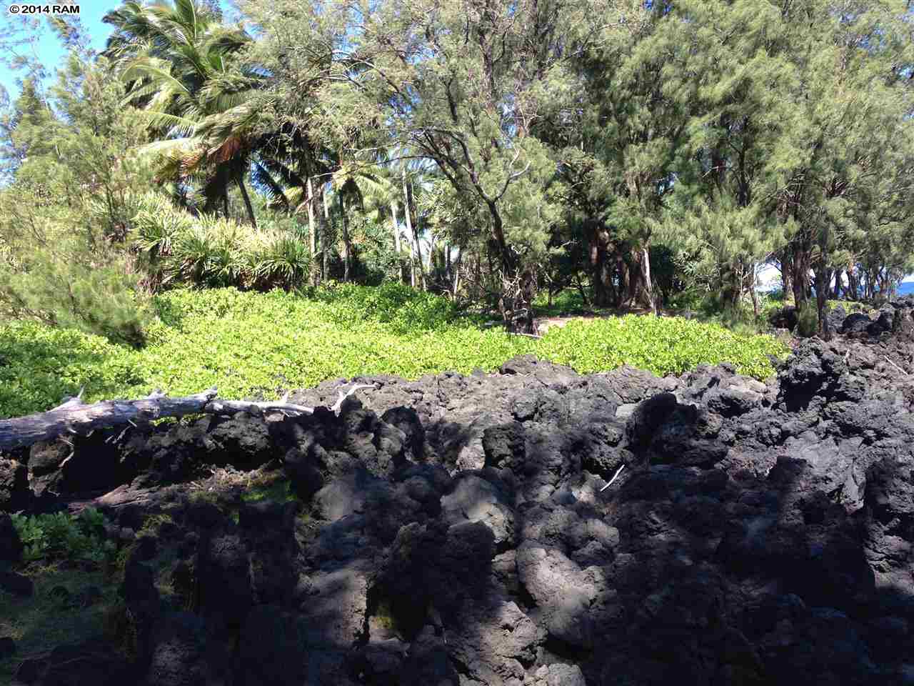 459 Keanae Road Hana, HI 96713 - Photo 6 of 11 a view of a lush green forest with lots of trees
