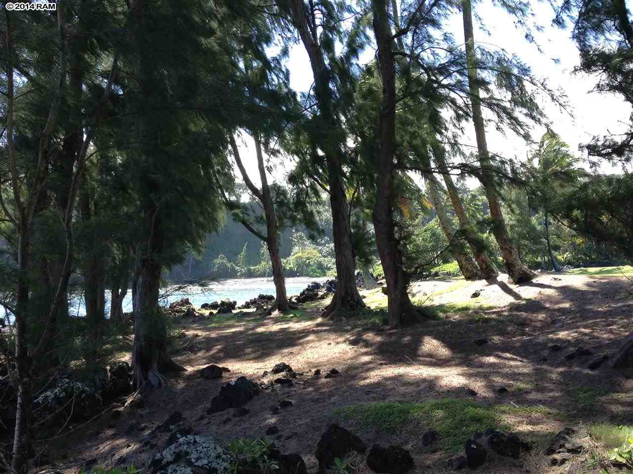 459 Keanae Road Hana, HI 96713 - Photo 7 of 11 a view of a tree in a yard