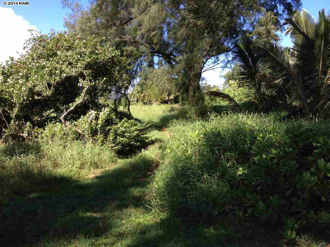 459 Keanae Road Hana, HI 96713 - Photo 8 of 11 a view of a garden