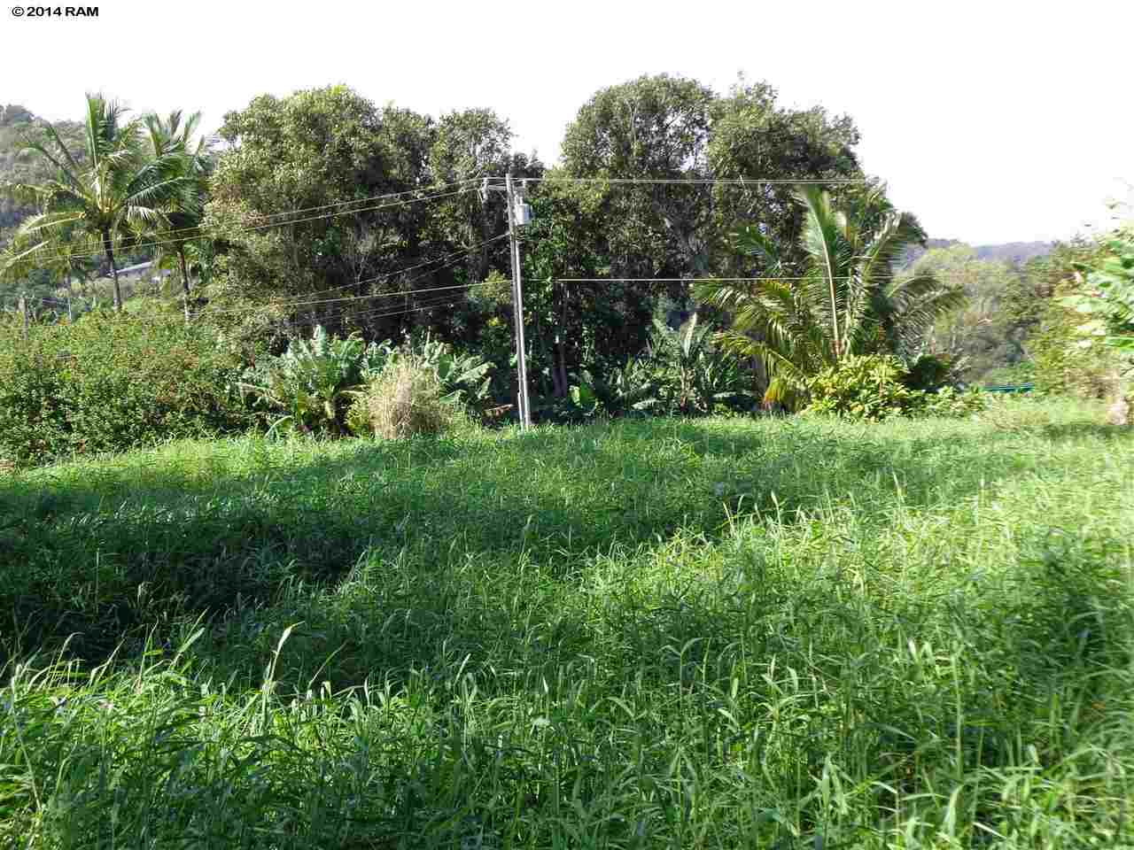 459 Keanae Road Hana, HI 96713 - Photo 9 of 11 a view of outdoor space and yard