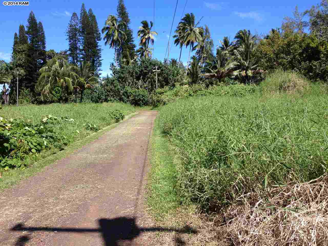 459 Keanae Road Hana, HI 96713 - Photo 10 of 11 a view of a garden with trees