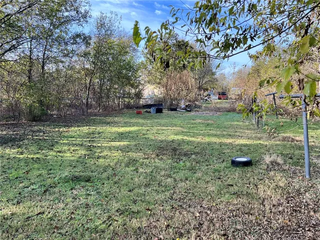 a green field with lots of trees