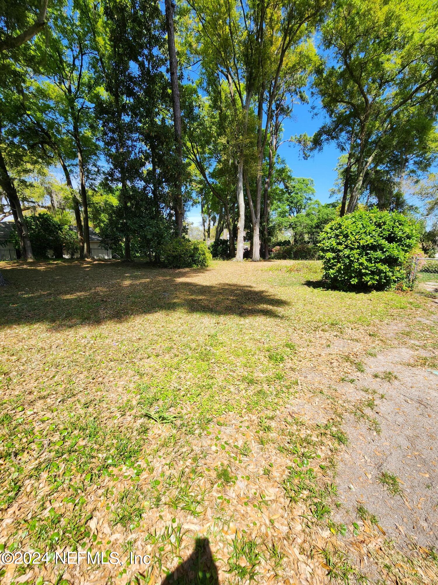 4294 Point La Vista Road West Jacksonville, FL 32207 - Photo 4 of 15 a view of pool with trees