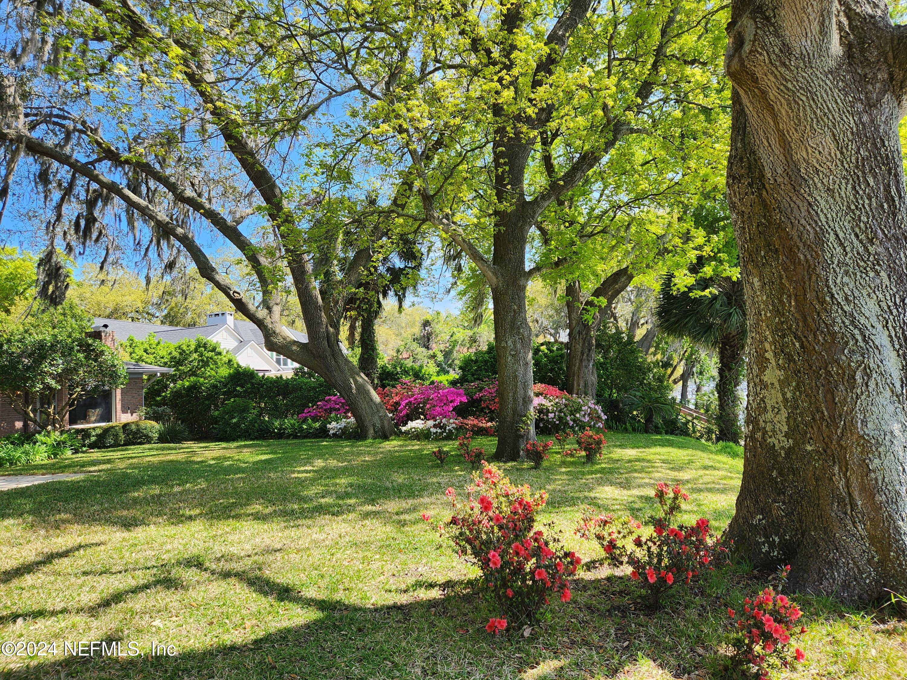 4294 Point La Vista Road West Jacksonville, FL 32207 - Photo 9 of 15 a view of a park with large trees