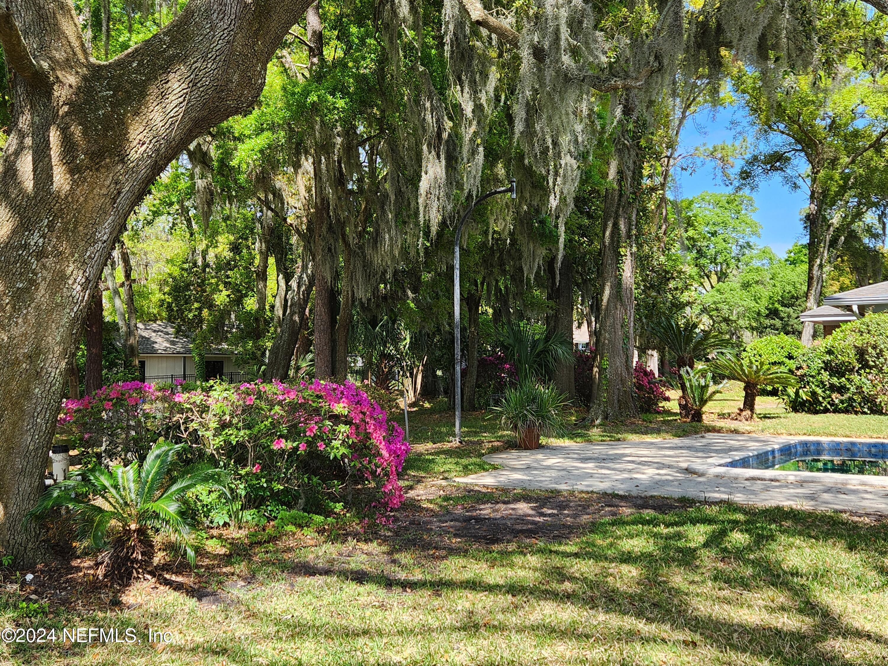 4294 Point La Vista Road West Jacksonville, FL 32207 - Photo 10 of 15 a small garden covered with tall trees
