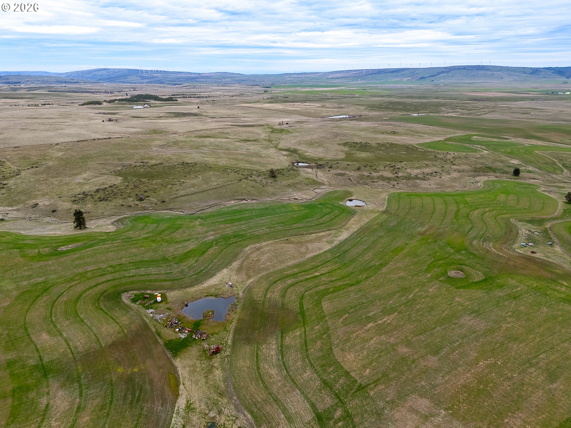 390 Bickleton Highway Goldendale, WA 98620 - Photo 12 of 15