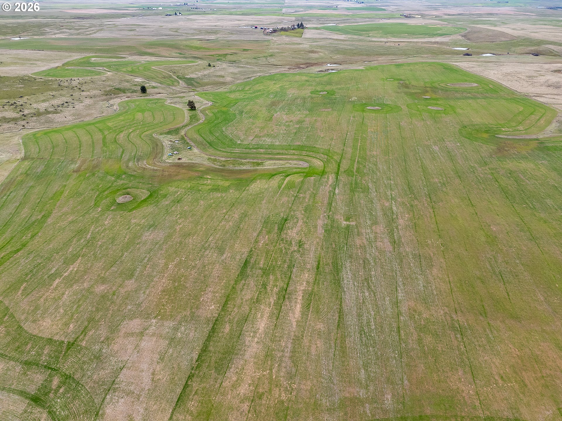 390 Bickleton Highway Goldendale, WA 98620 - Photo 14 of 15