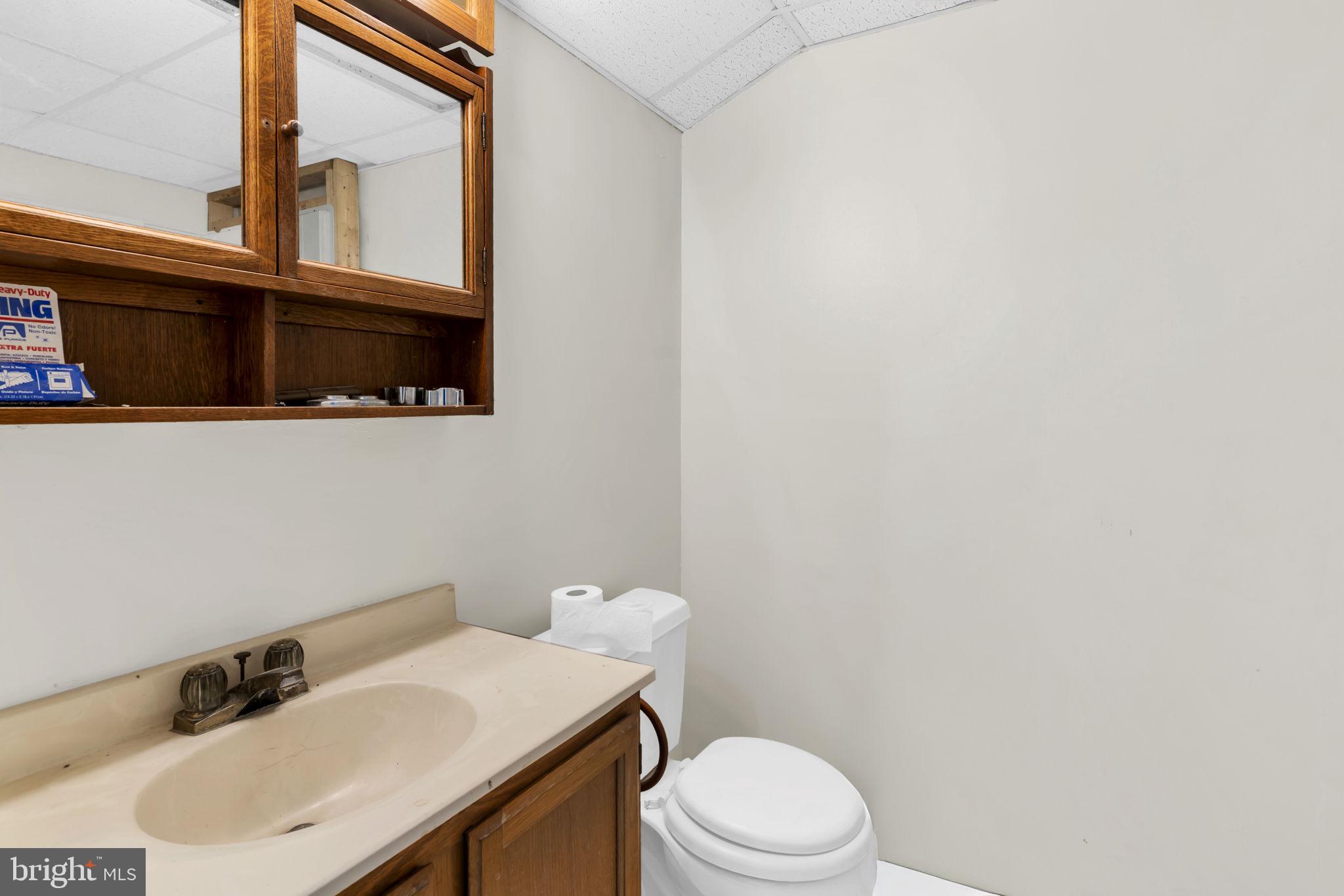 1150 Calvert Beach Road St. Leonard, MD 20685 - Photo 25 of 42 a bathroom with a sink a toilet and a mirror