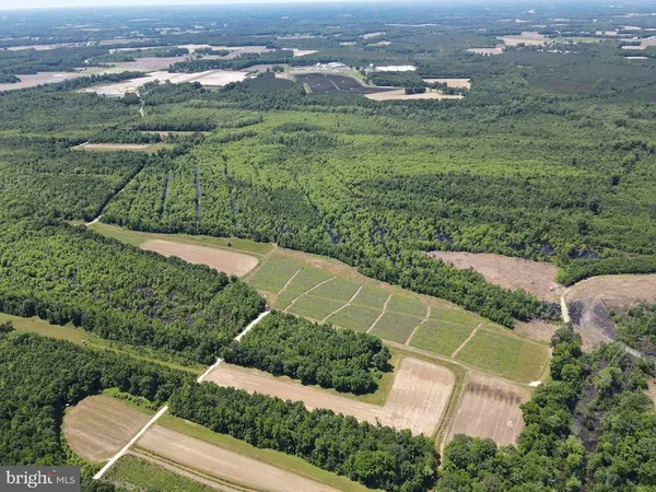 $5,900,000 | 125 (tract: Cherry Island), Williamston, NC 27892
