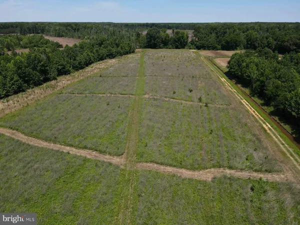 $5,900,000 | 125 (tract: Cherry Island), Williamston, NC 27892