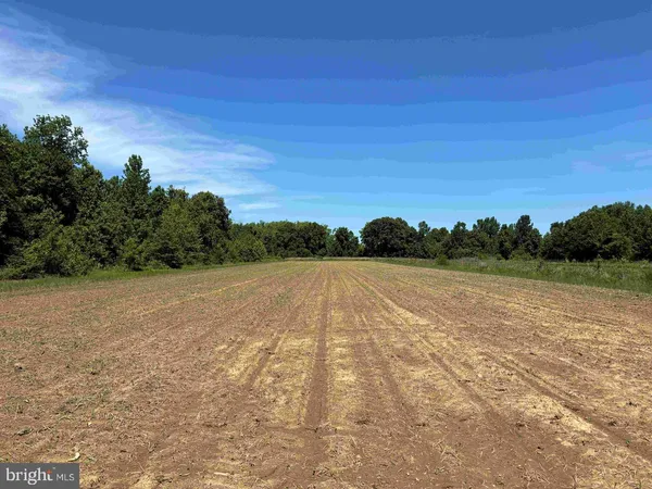 $5,900,000 | 125 (tract: Cherry Island), Williamston, NC 27892