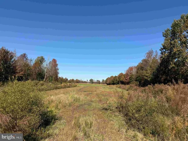$5,900,000 | 125 (tract: Cherry Island), Williamston, NC 27892