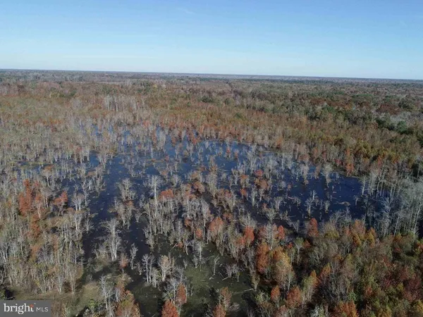 $5,900,000 | 125 (tract: Cherry Island), Williamston, NC 27892