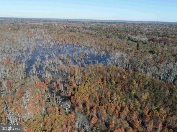 $5,900,000 | 125 (tract: Cherry Island), Williamston, NC 27892