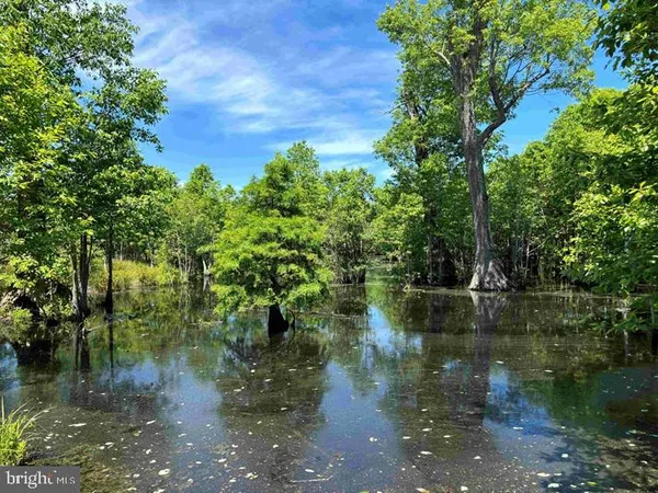 $5,900,000 | 125 (tract: Cherry Island), Williamston, NC 27892