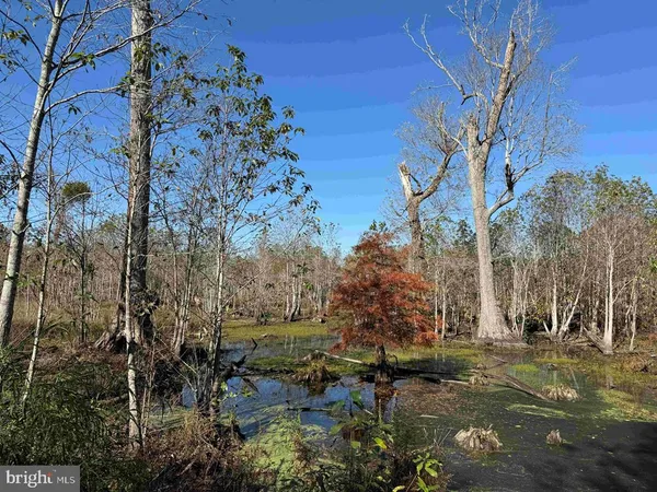 $5,900,000 | 125 (tract: Cherry Island), Williamston, NC 27892