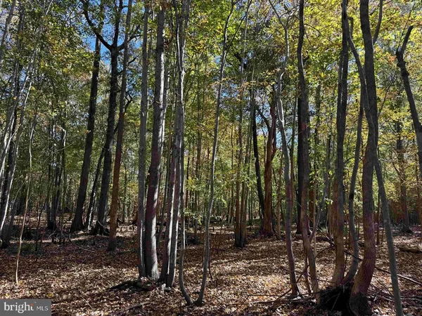 $5,900,000 | 125 (tract: Cherry Island), Williamston, NC 27892