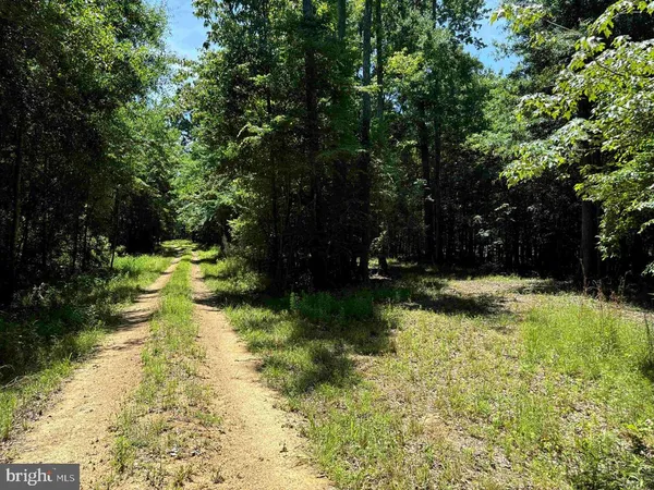 $5,900,000 | 125 (tract: Cherry Island), Williamston, NC 27892