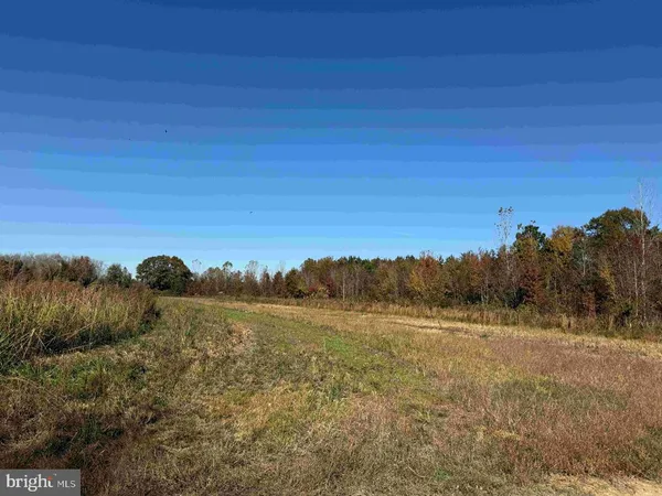 $5,900,000 | 125 (tract: Cherry Island), Williamston, NC 27892
