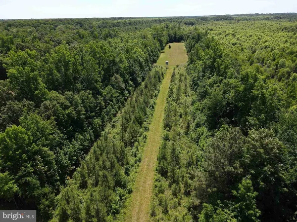 $5,900,000 | 125 (tract: Cherry Island), Williamston, NC 27892