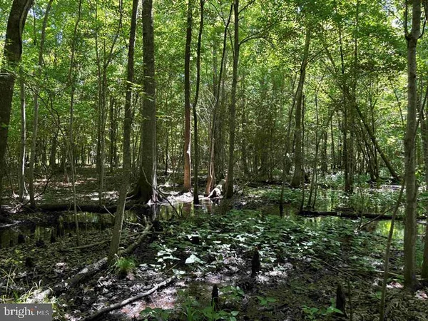 $5,900,000 | 125 (tract: Cherry Island), Williamston, NC 27892