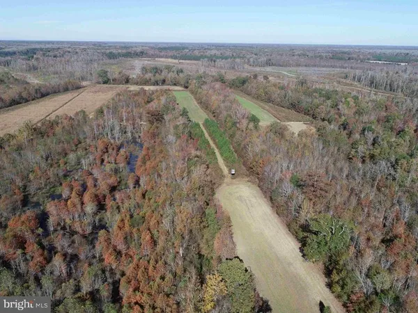 $5,900,000 | 125 (tract: Cherry Island), Williamston, NC 27892