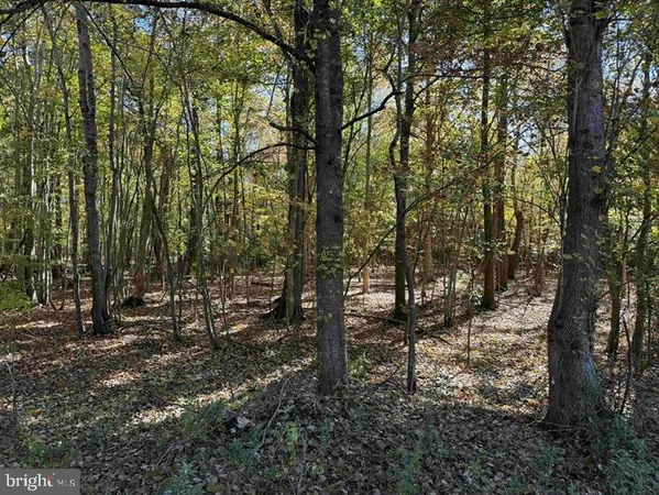 $5,900,000 | 125 (tract: Cherry Island), Williamston, NC 27892