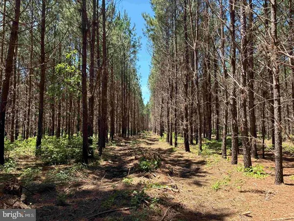 $5,900,000 | 125 (tract: Cherry Island), Williamston, NC 27892