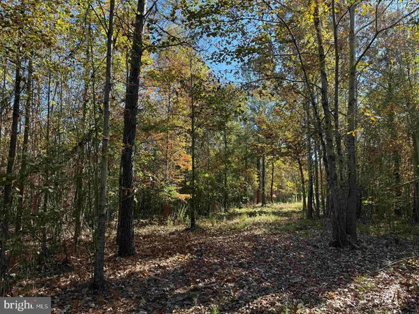$5,900,000 | 125 (tract: Cherry Island), Williamston, NC 27892