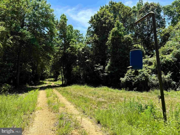 $5,900,000 | 125 (tract: Cherry Island), Williamston, NC 27892