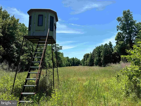 $5,900,000 | 125 (tract: Cherry Island), Williamston, NC 27892