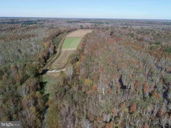 $5,900,000 | 125 (tract: Cherry Island), Williamston, NC 27892