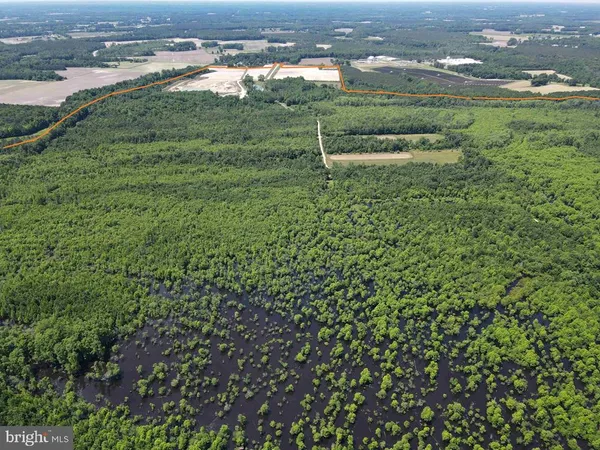 $5,900,000 | 125 (tract: Cherry Island), Williamston, NC 27892