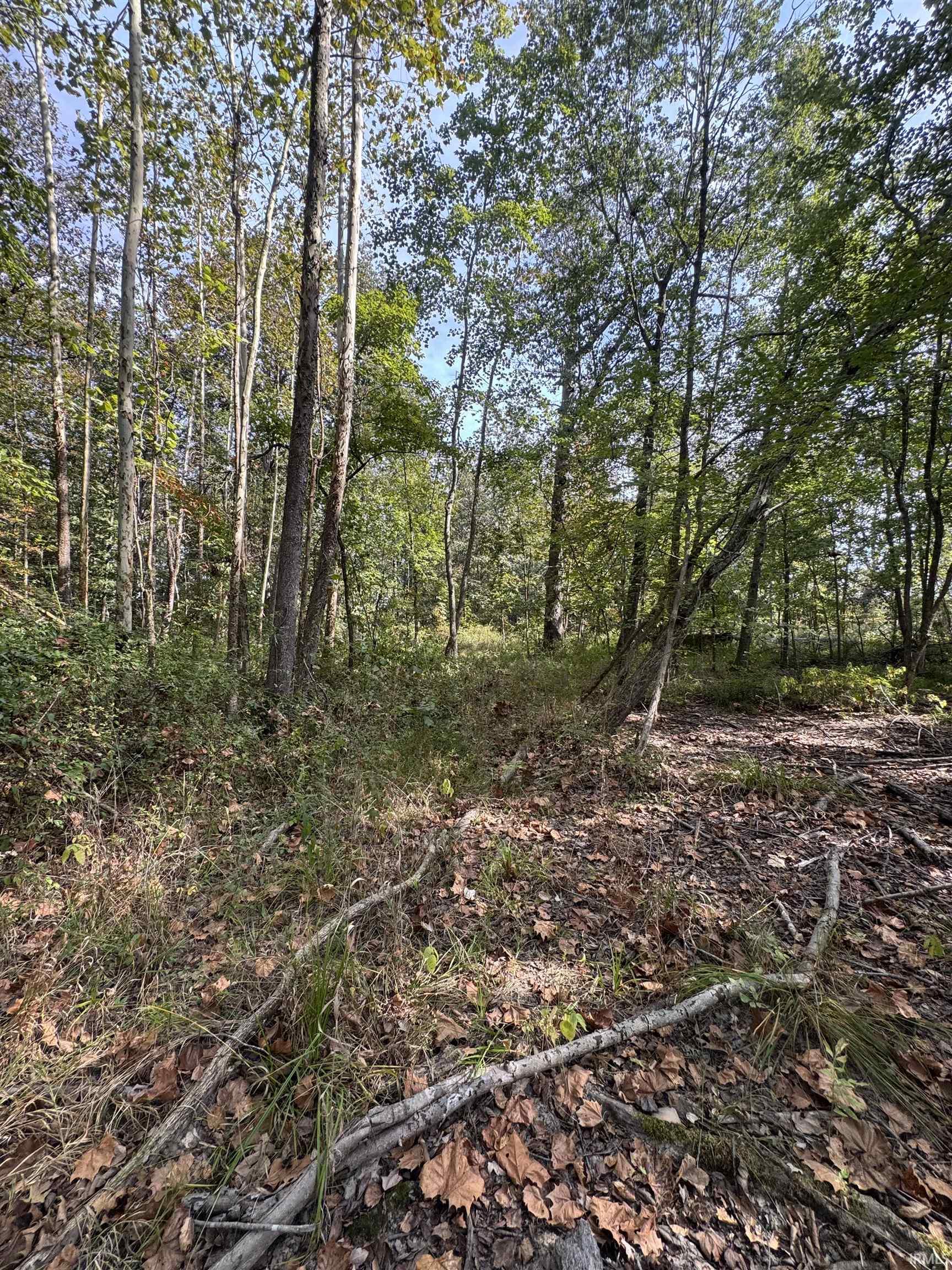 0 Decker Road Boonville, IN 47601 - Photo 5 of 20 Gallery Image 5
