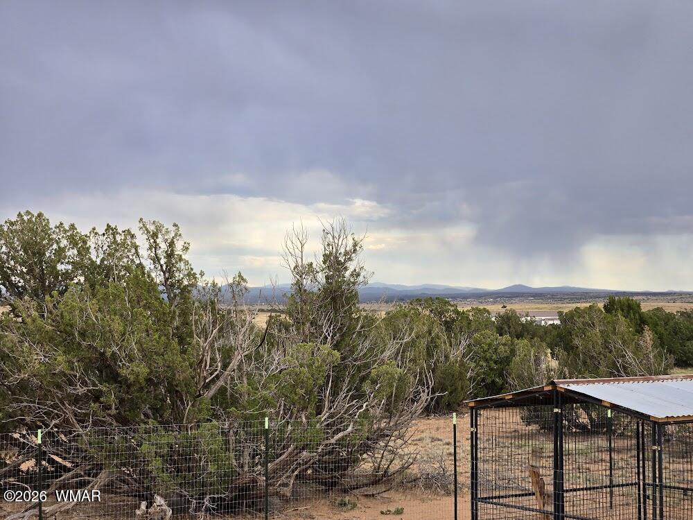 3845 Petersen Road Snowflake, AZ 85937 - Photo 51 of 60