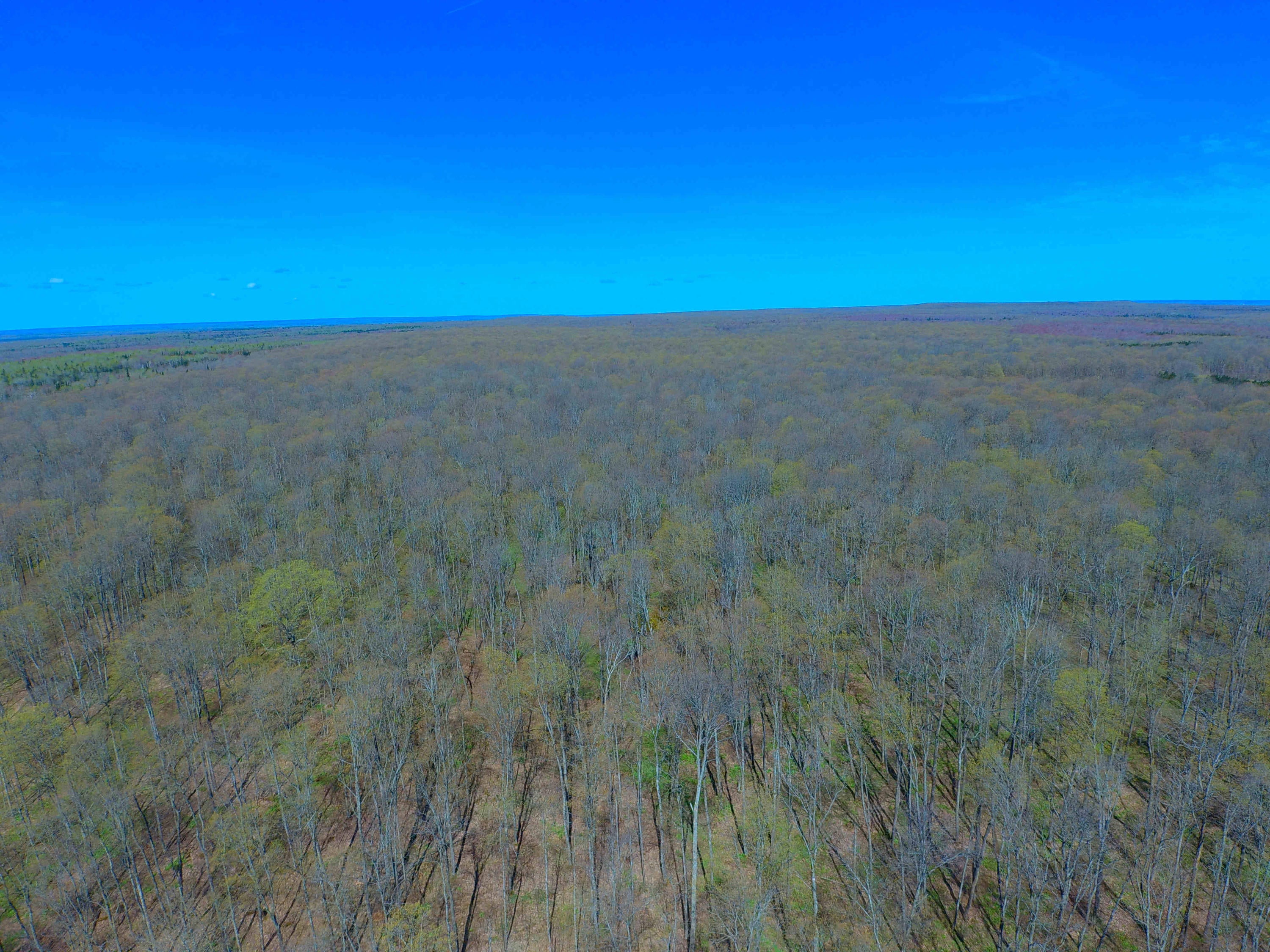 5828 North Webb Road Hessel, MI 49745 - Photo 24 of 26 Gallery Image 24