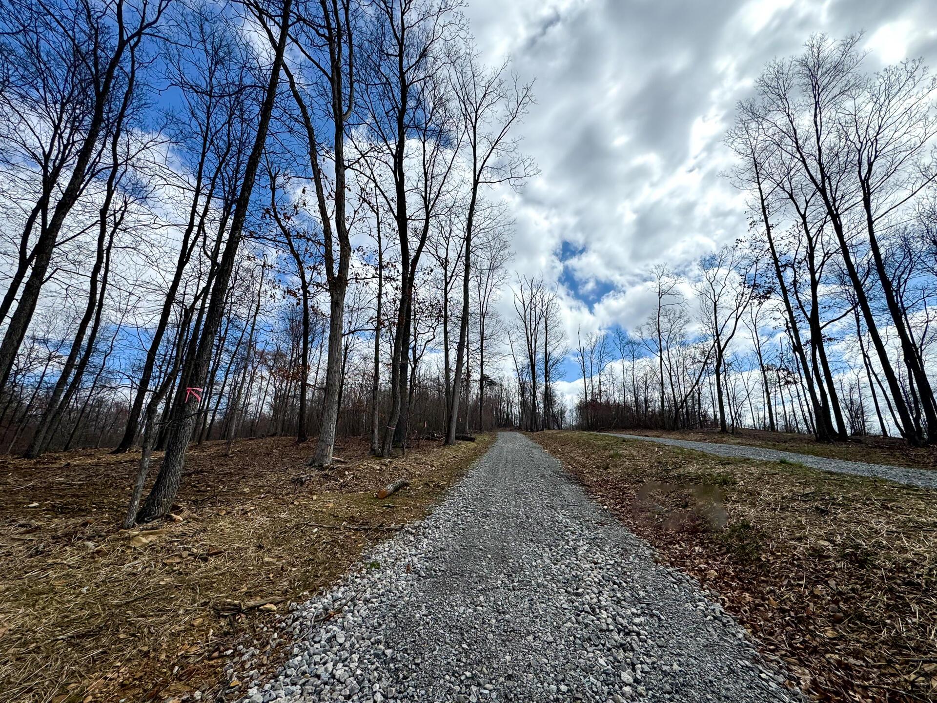 100 Golf Course Road, Unit TRACT 12 SKYLINE ACRES) Waverly, OH 45690 - Photo 4 of 44 CT-4